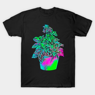 Colourful Coleus Plant T-Shirt